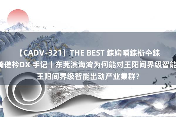 【CADV-321】THE BEST 銇婅哺銇椼仐銇俱仚銆?50浜?鏅傞枔DX 手记｜东莞滨海湾为何能对王阳间界级智能出动产业集群？