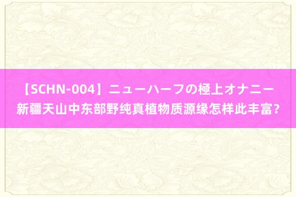 【SCHN-004】ニューハーフの極上オナニー 新疆天山中东部野纯真植物质源缘怎样此丰富？