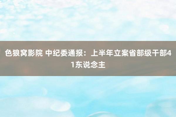 色狼窝影院 中纪委通报：上半年立案省部级干部41东说念主