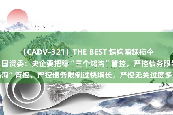 【CADV-321】THE BEST 銇婅哺銇椼仐銇俱仚銆?50浜?鏅傞枔DX 国资委：央企要把稳“三个鸿沟”管控，严控债务限制过快增长，严控无关过度多元盘算