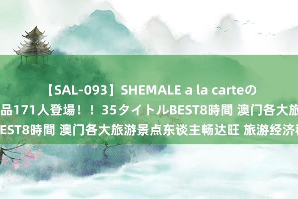 【SAL-093】SHEMALE a la carteの歴史 2008～2011 国内作品171人登場！！35タイトルBEST8時間 澳门各大旅游景点东谈主畅达旺 旅游经济稳步高潮