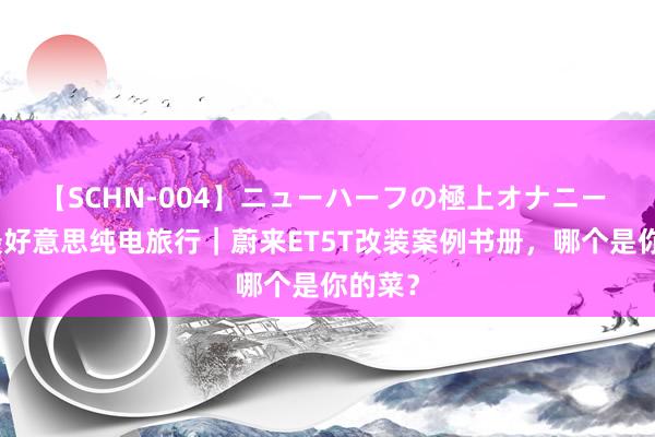 【SCHN-004】ニューハーフの極上オナニー 国产最好意思纯电旅行｜蔚来ET5T改装案例书册，哪个是你的菜？