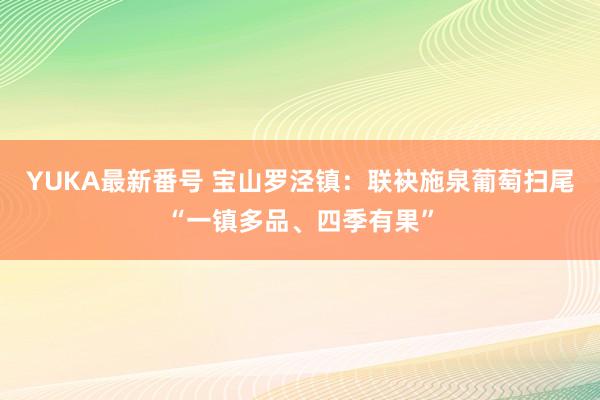 YUKA最新番号 宝山罗泾镇：联袂施泉葡萄扫尾“一镇多品、四季有果”