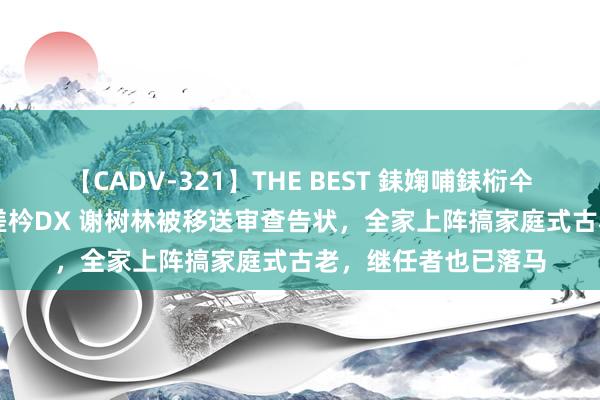 【CADV-321】THE BEST 銇婅哺銇椼仐銇俱仚銆?50浜?鏅傞枔DX 谢树林被移送审查告状，全家上阵搞家庭式古老，继任者也已落马