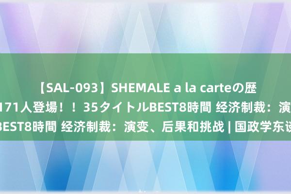 【SAL-093】SHEMALE a la carteの歴史 2008～2011 国内作品171人登場！！35タイトルBEST8時間 经济制裁：演变、后果和挑战 | 国政学东谈主