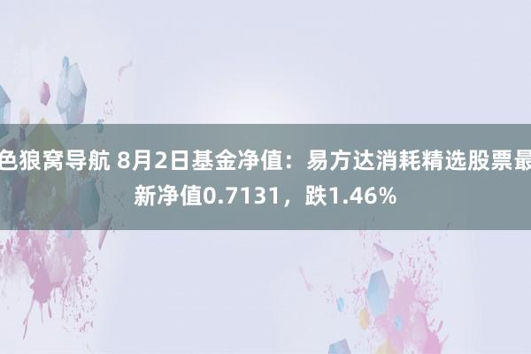 色狼窝导航 8月2日基金净值：易方达消耗精选股票最新净值0.7131，跌1.46%