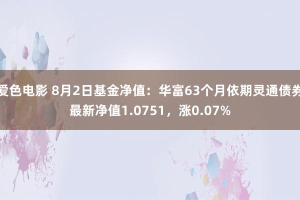 爱色电影 8月2日基金净值：华富63个月依期灵通债券最新净值1.0751，涨0.07%