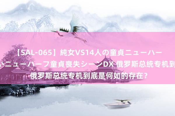 【SAL-065】純女VS14人の童貞ニューハーフ 二度と見れないニューハーフ童貞喪失シーンDX 俄罗斯总统专机到底是何如的存在？