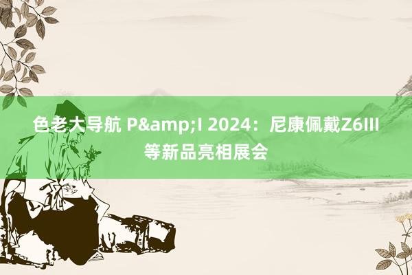 色老大导航 P&I 2024：尼康佩戴Z6III等新品亮相展会