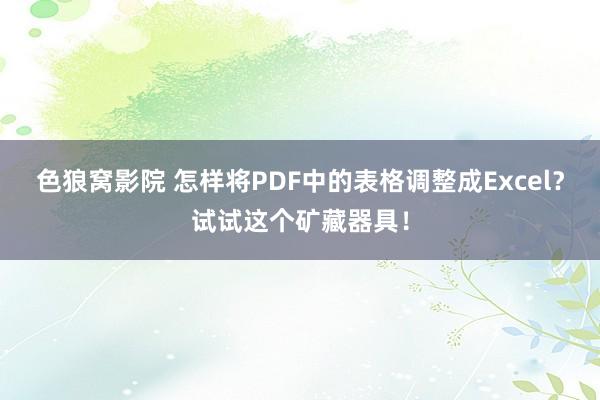 色狼窝影院 怎样将PDF中的表格调整成Excel？试试这个矿藏器具！