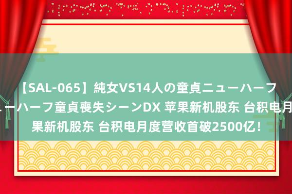 【SAL-065】純女VS14人の童貞ニューハーフ 二度と見れないニューハーフ童貞喪失シーンDX 苹果新机股东 台积电月度营收首破2500亿！