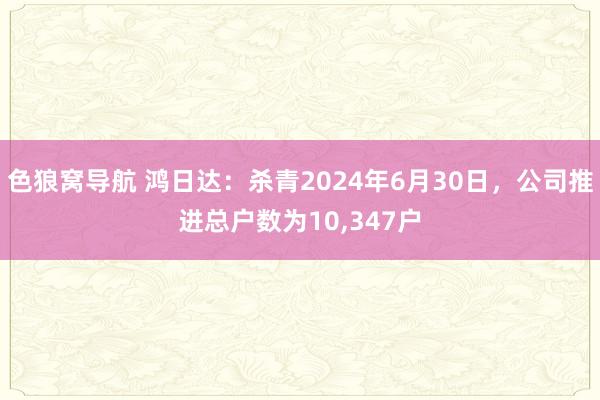 色狼窝导航 鸿日达：杀青2024年6月30日，公司推进总户数为10，347户