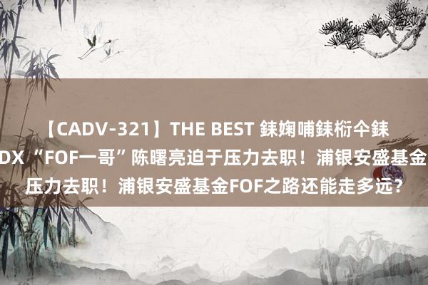 【CADV-321】THE BEST 銇婅哺銇椼仐銇俱仚銆?50浜?鏅傞枔DX “FOF一哥”陈曙亮迫于压力去职！浦银安盛基金FOF之路还能走多远？