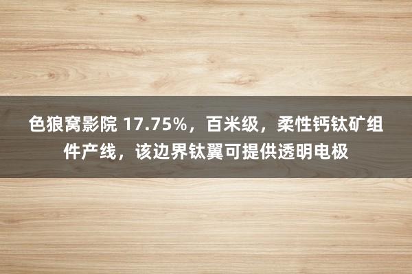 色狼窝影院 17.75%，百米级，柔性钙钛矿组件产线，该边界钛翼可提供透明电极