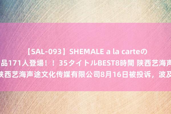 【SAL-093】SHEMALE a la carteの歴史 2008～2011 国内作品171人登場！！35タイトルBEST8時間 陕西艺海声途文化传媒有限公司8月16日被投诉，波及消耗金额898.18元