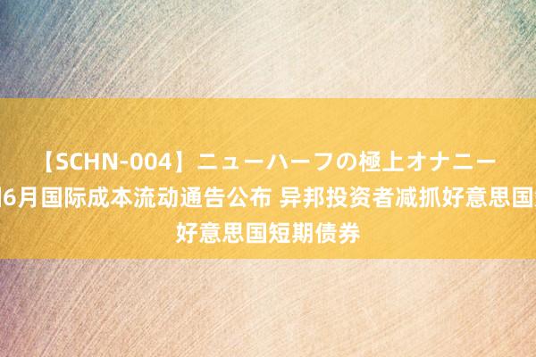 【SCHN-004】ニューハーフの極上オナニー 好意思国6月国际成本流动通告公布 异邦投资者减抓好意思国短期债券