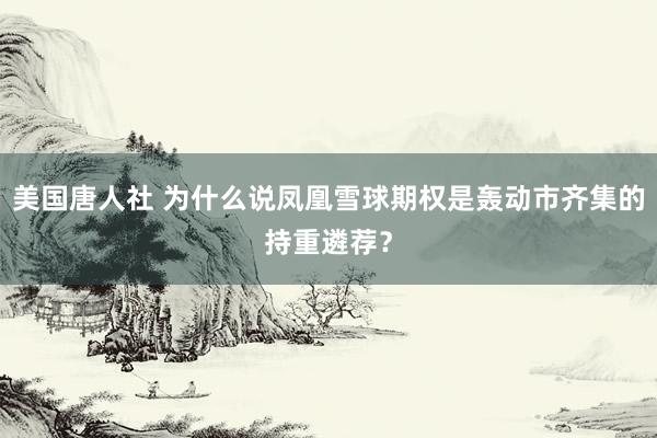 美国唐人社 为什么说凤凰雪球期权是轰动市齐集的持重遴荐？