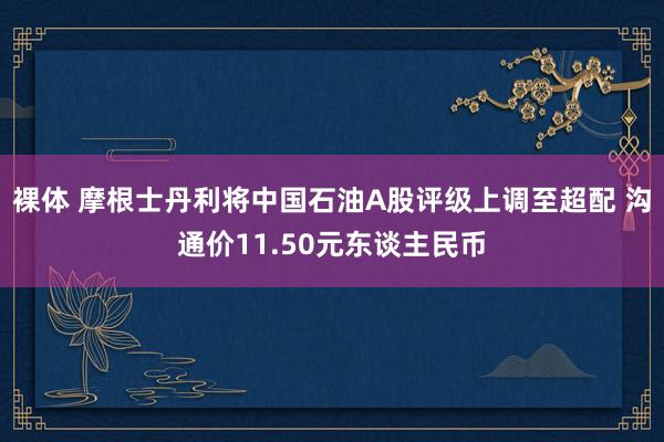 裸体 摩根士丹利将中国石油A股评级上调至超配 沟通价11.50元东谈主民币