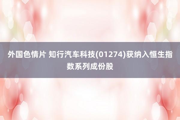 外国色情片 知行汽车科技(01274)获纳入恒生指数系列成份股