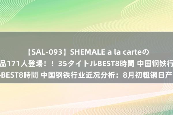 【SAL-093】SHEMALE a la carteの歴史 2008～2011 国内作品171人登場！！35タイトルBEST8時間 中国钢铁行业近况分析：8月初粗钢日产量回升