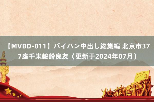 【MVBD-011】パイパン中出し総集編 北京市377座千米峻岭良友（更新于2024年07月）