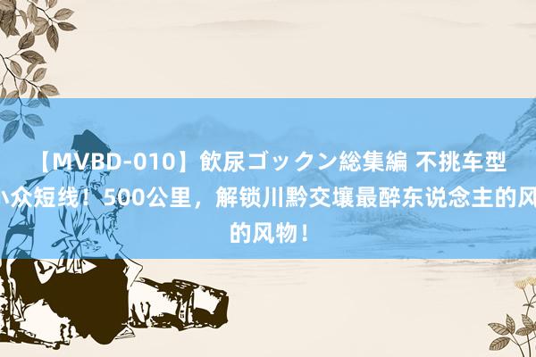 【MVBD-010】飲尿ゴックン総集編 不挑车型的小众短线！500公里，解锁川黔交壤最醉东说念主的风物！