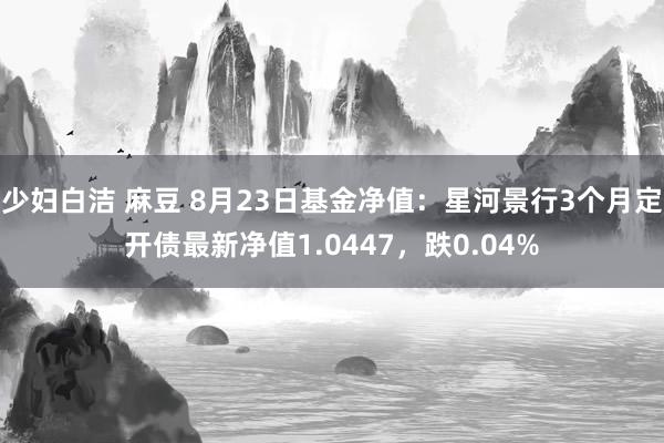 少妇白洁 麻豆 8月23日基金净值：星河景行3个月定开债最新净值1.0447，跌0.04%