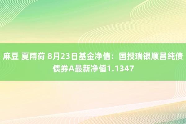 麻豆 夏雨荷 8月23日基金净值：国投瑞银顺昌纯债债券A最新净值1.1347