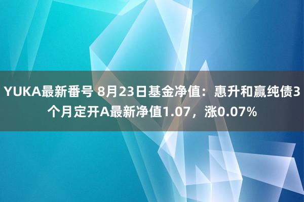 YUKA最新番号 8月23日基金净值：惠升和赢纯债3个月定开A最新净值1.07，涨0.07%