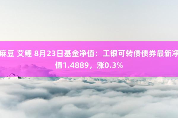 麻豆 艾鲤 8月23日基金净值：工银可转债债券最新净值1.4889，涨0.3%