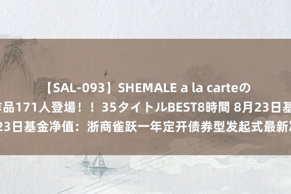 【SAL-093】SHEMALE a la carteの歴史 2008～2011 国内作品171人登場！！35タイトルBEST8時間 8月23日基金净值：浙商雀跃一年定开债券型发起式最新净值1.0187，跌0.03%