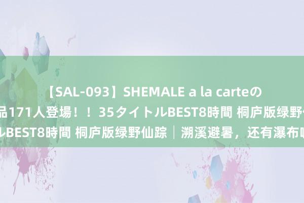 【SAL-093】SHEMALE a la carteの歴史 2008～2011 国内作品171人登場！！35タイトルBEST8時間 桐庐版绿野仙踪│溯溪避暑，还有瀑布咖啡馆