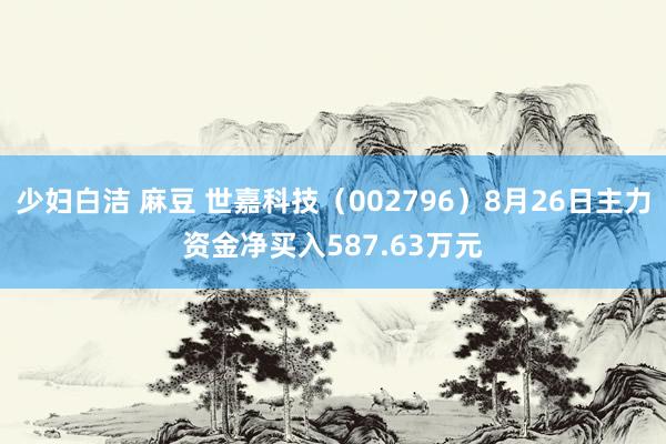 少妇白洁 麻豆 世嘉科技（002796）8月26日主力资金净买入587.63万元