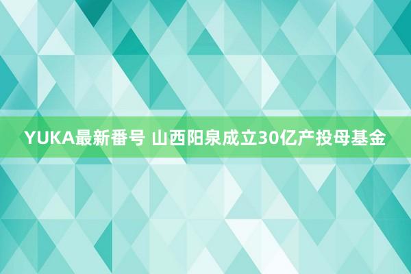 YUKA最新番号 山西阳泉成立30亿产投母基金