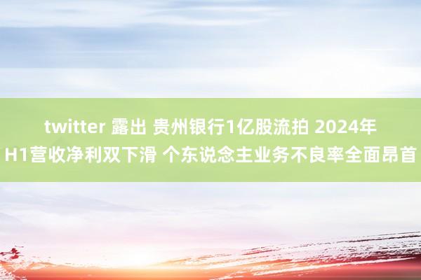 twitter 露出 贵州银行1亿股流拍 2024年H1营收净利双下滑 个东说念主业务不良率全面昂首