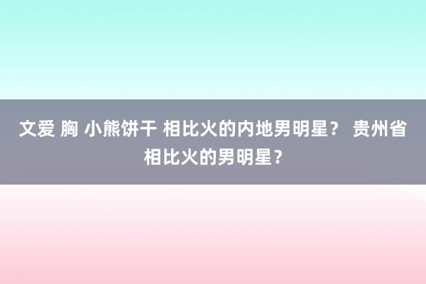 文爱 胸 小熊饼干 相比火的内地男明星？ 贵州省相比火的男明星？