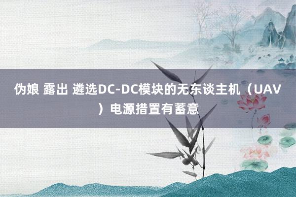 伪娘 露出 遴选DC-DC模块的无东谈主机（UAV）电源措置有蓄意